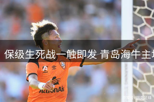 保级生死战一触即发 青岛海牛主场战申花迎关键抢分良机